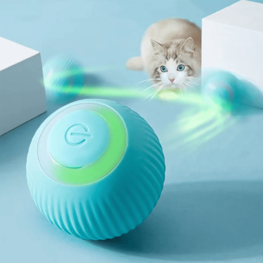 Smart Cat Ball